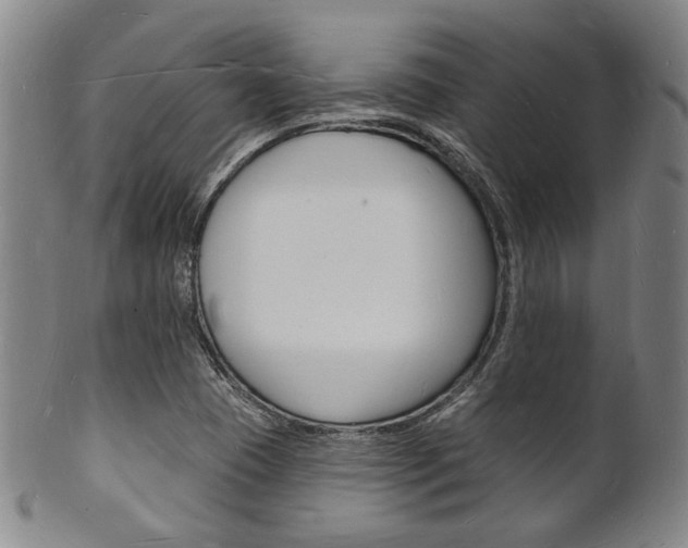 X0000101691409200807101157