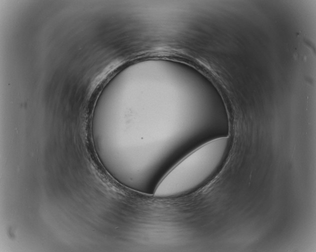 X0000101691410200807101157