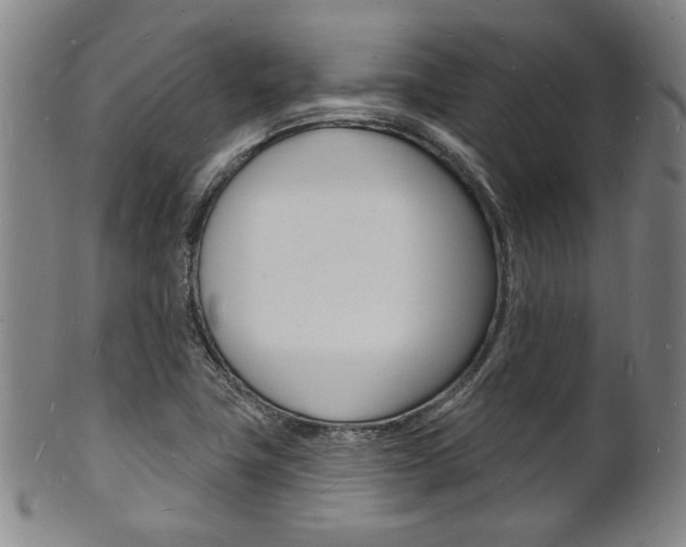 X0000101691411200807101157