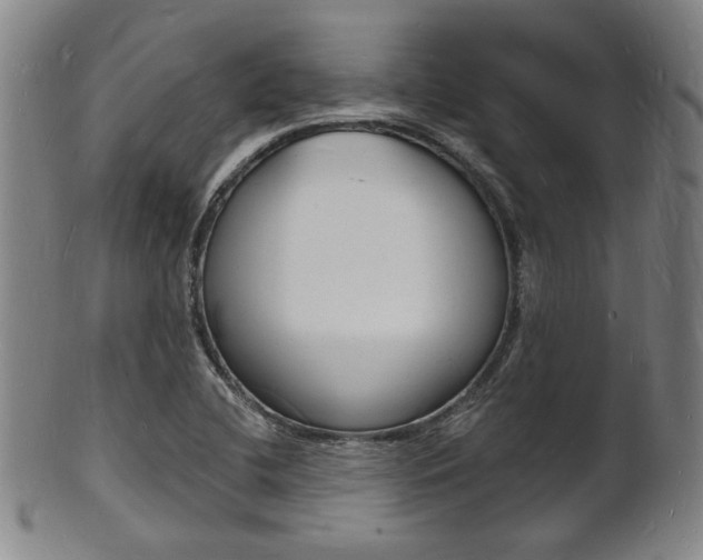 X0000101691412200807101157