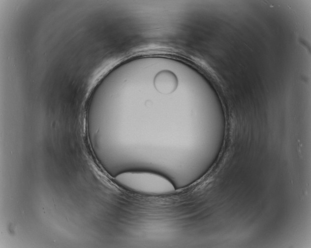 X0000101691413200807101157
