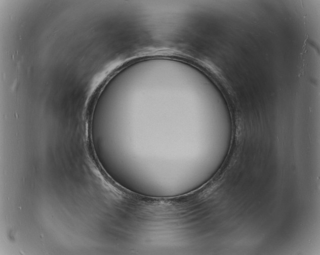 X0000101691414200807101157