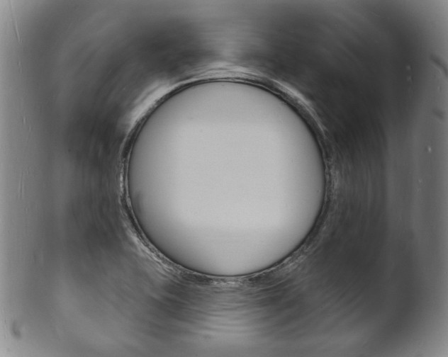 X0000101691415200807101157