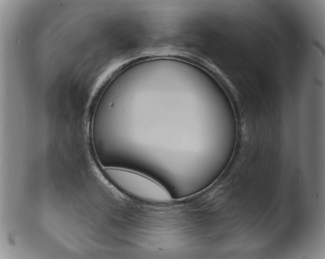 X0000101691416200807101157