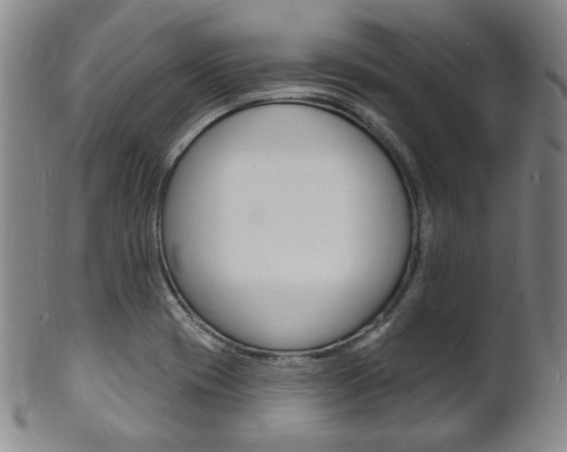 X0000101691417200807101157