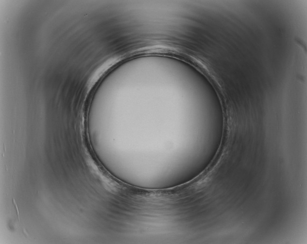 X0000101691418200807101157