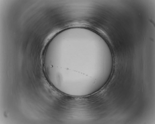 X0000101691419200807101157