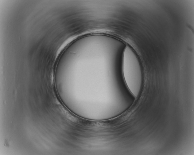 X0000101691420200807101157