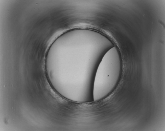 X0000101691421200807101157