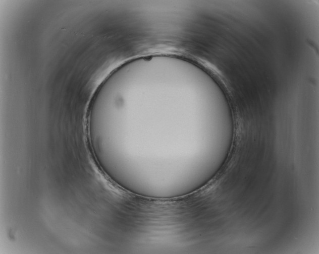 X0000101691423200807101157