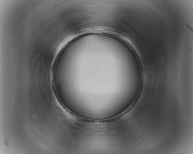 X0000101691424200807101157