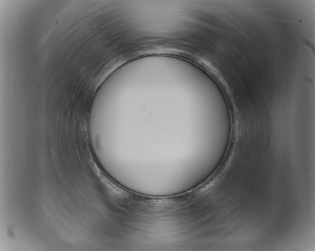 X0000101691425200807101157
