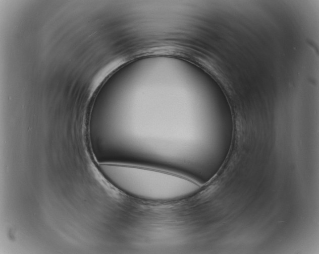 X0000101691426200807101157