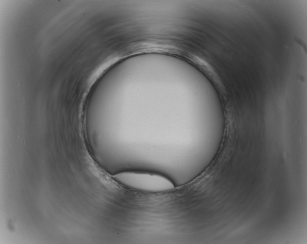 X0000101691427200807101157