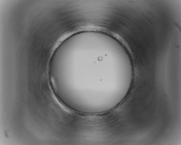 X0000101691429200807101157