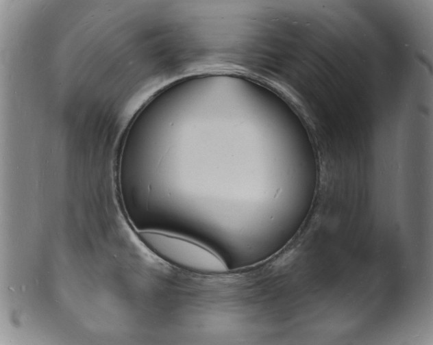 X0000101691430200807101157