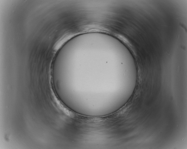 X0000101691431200807101157