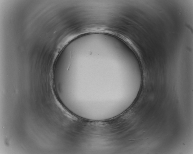 X0000101691432200807101157