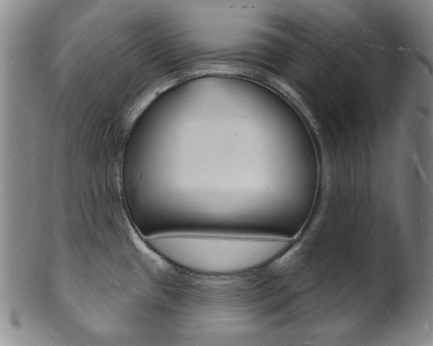 X0000101691433200807101157