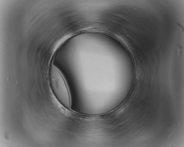 X0000101691434200807101157