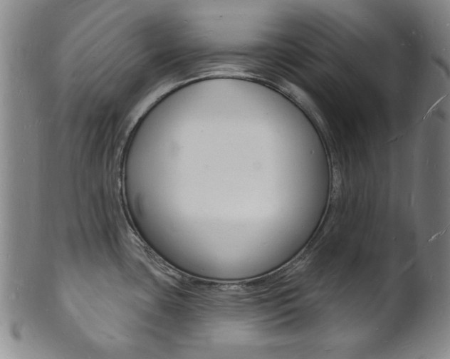 X0000101691435200807101157