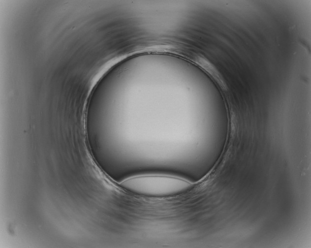 X0000101691436200807101157