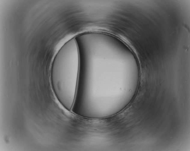 X0000101691437200807101157