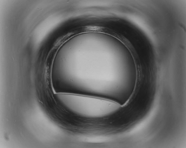 X0000101691438200807101157