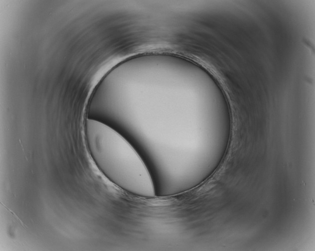 X0000101691440200807101157