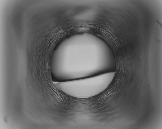 X0000101691441200807101157