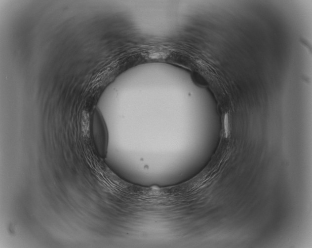 X0000101691443200807101157