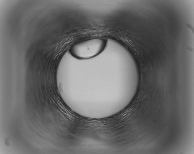 X0000101691444200807101157