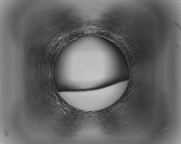 X0000101691445200807101157