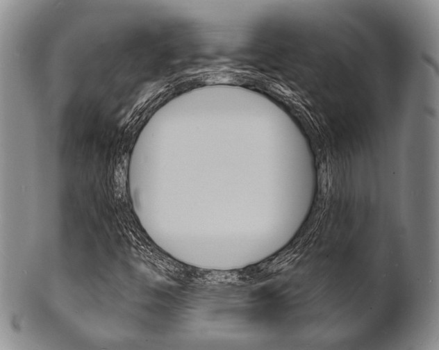 X0000101691446200807101157