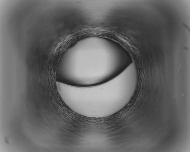 X0000101691447200807101157