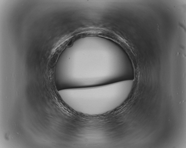 X0000101691448200807101157