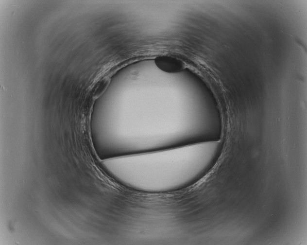 X0000101691449200807101157