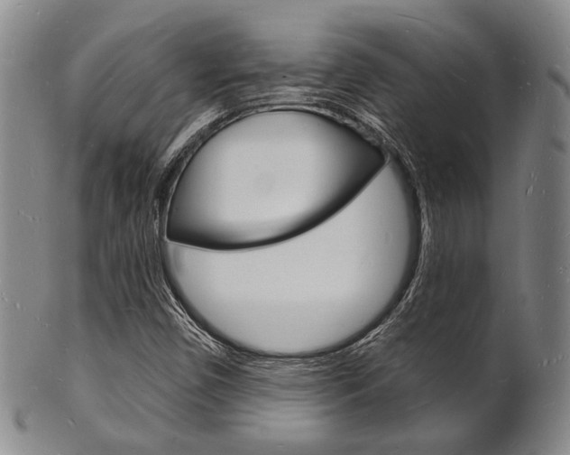 X0000101691450200807101157