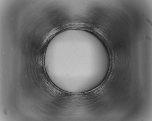 X0000101691451200807101157
