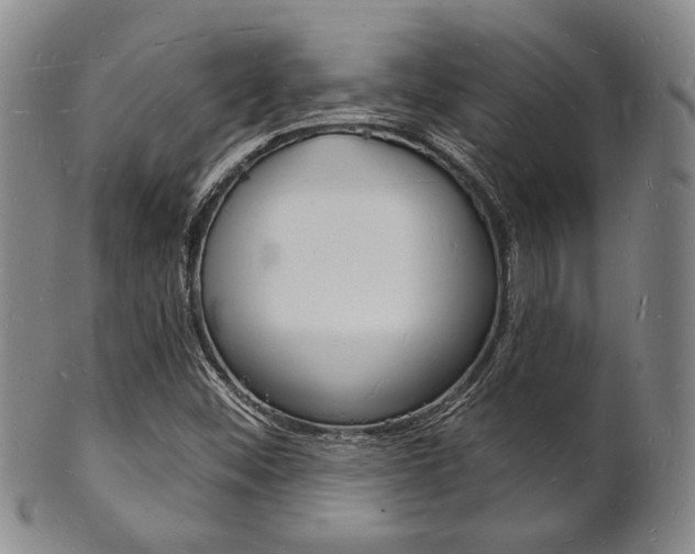 X0000101691452200807101156