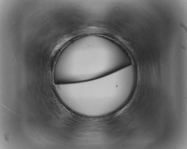 X0000101691453200807101156
