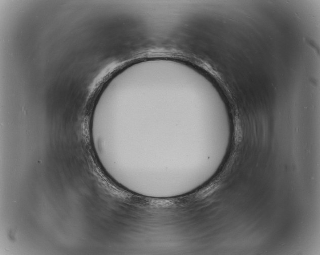 X0000101691454200807101156
