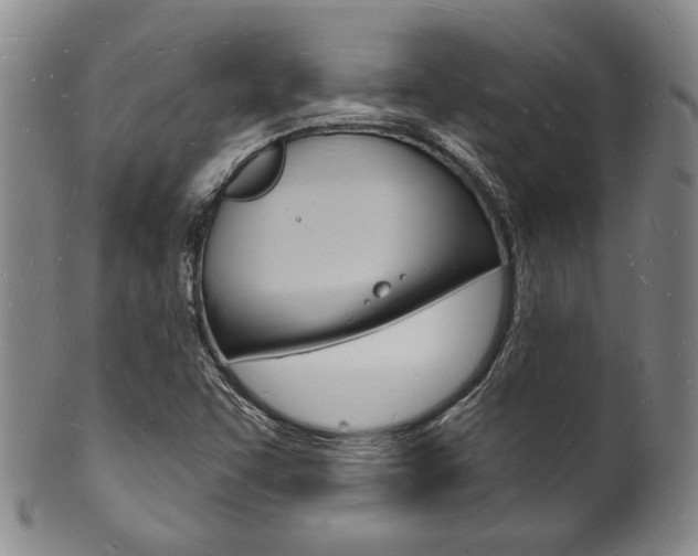 X0000101691455200807101156