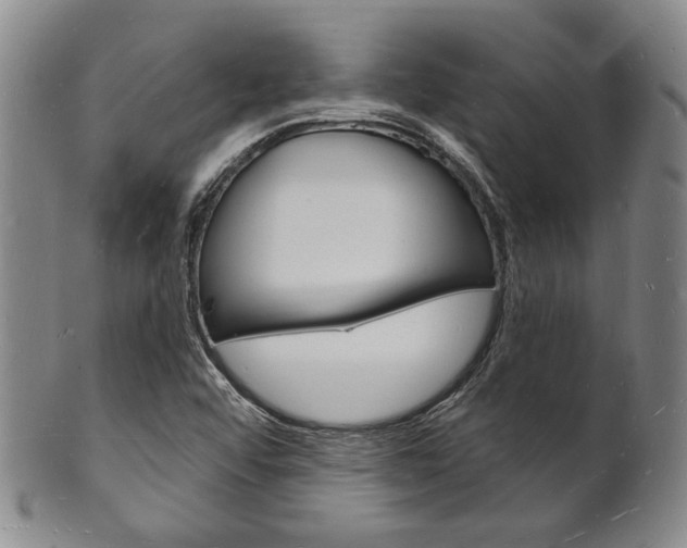 X0000101691456200807101156