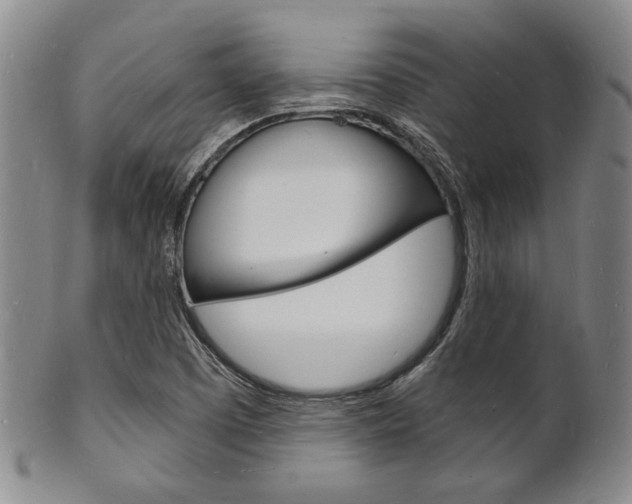 X0000101691457200807101156