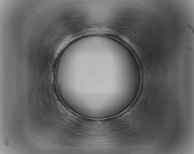 X0000101691459200807101156