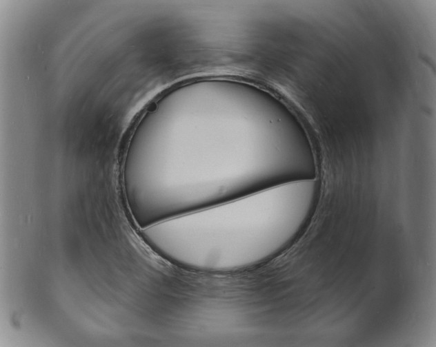 X0000101691460200807101156