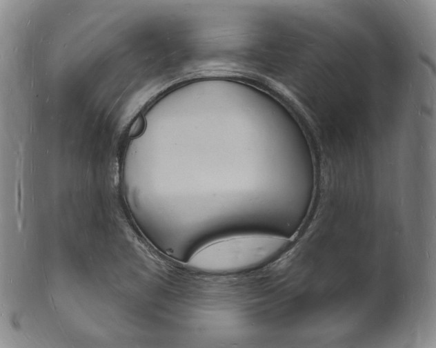 X0000101691461200807101156
