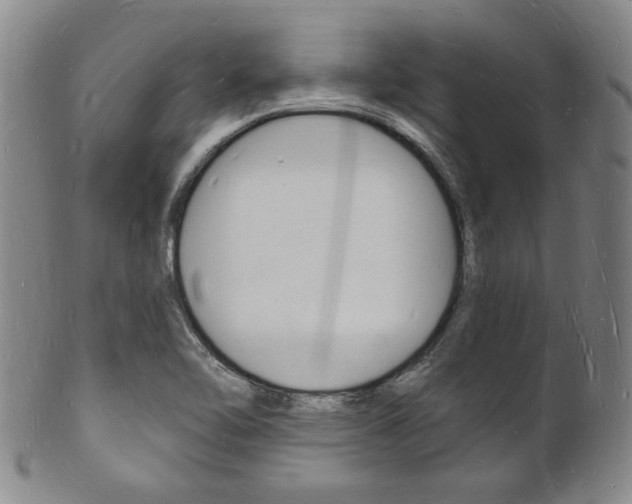 X0000101691462200807101156