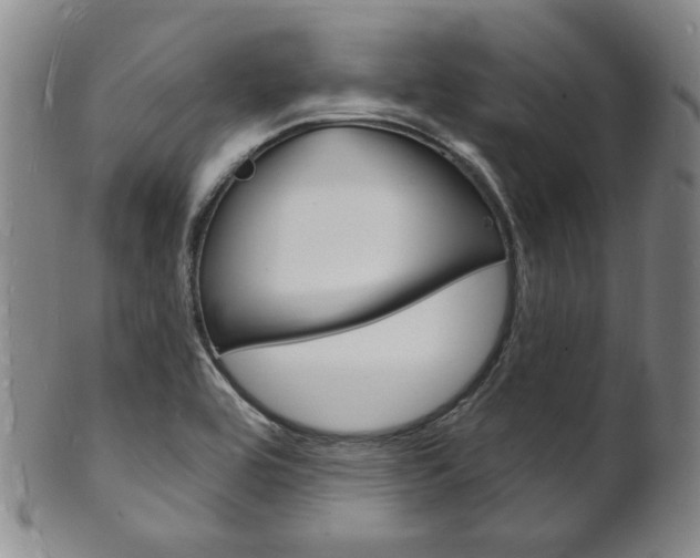 X0000101691464200807101156